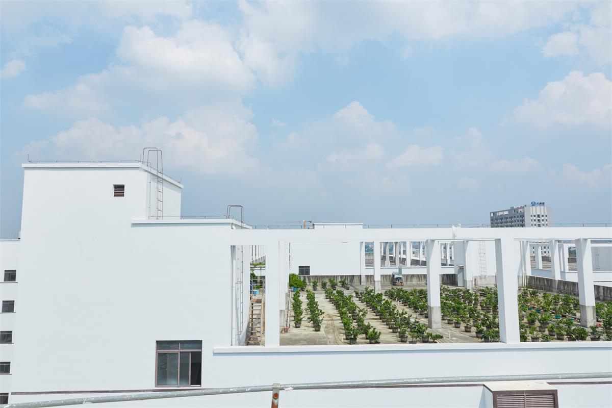 11空中花园2(1).jpg